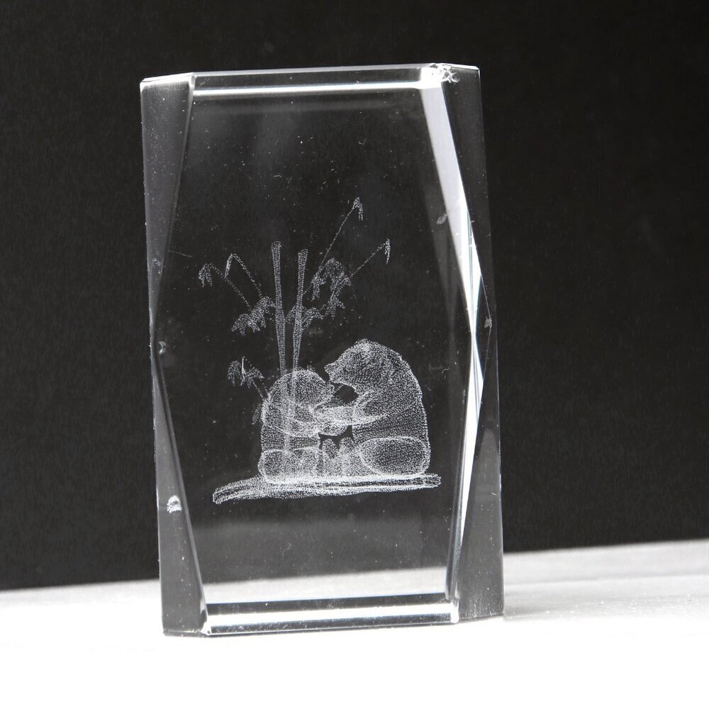 Laser Etched Glass Art Paperweight Bear 3D Forrest Cub Crystal Clear Collectable